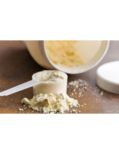 Proteine del siero del latte in polvere  500 gr